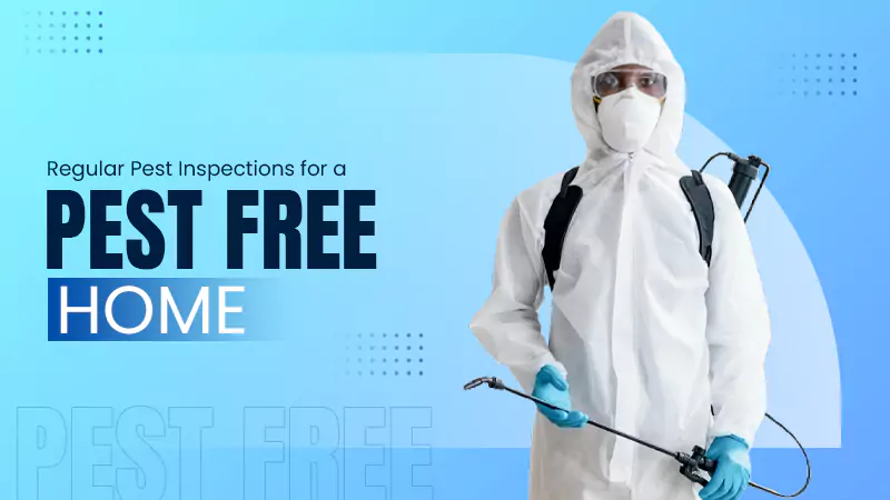 Regular Pest Inspections for a Pest-Free Home