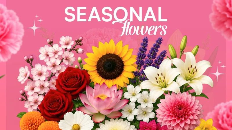 Seasonal Flowers
