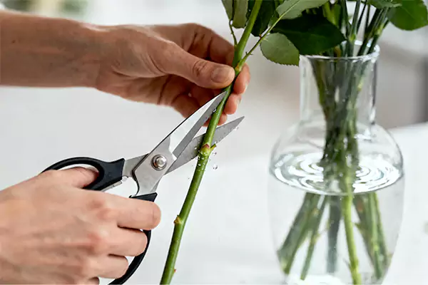 Trimming stems
