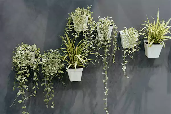 Wall Mounted Arrangement