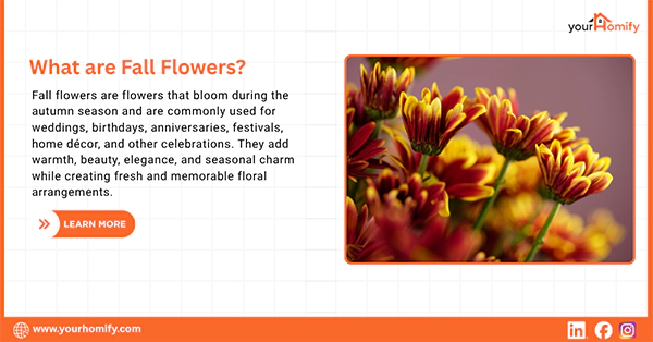 What are Fall Flowers