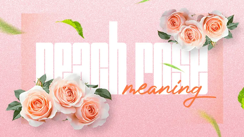 peach rose meaning