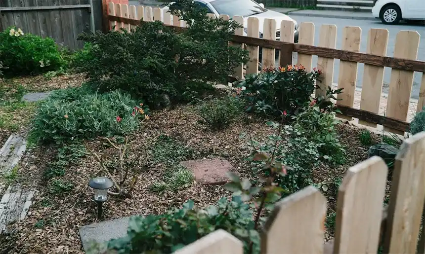 A freshly cleared garden bed with a ground-down tree stump and fresh mulch