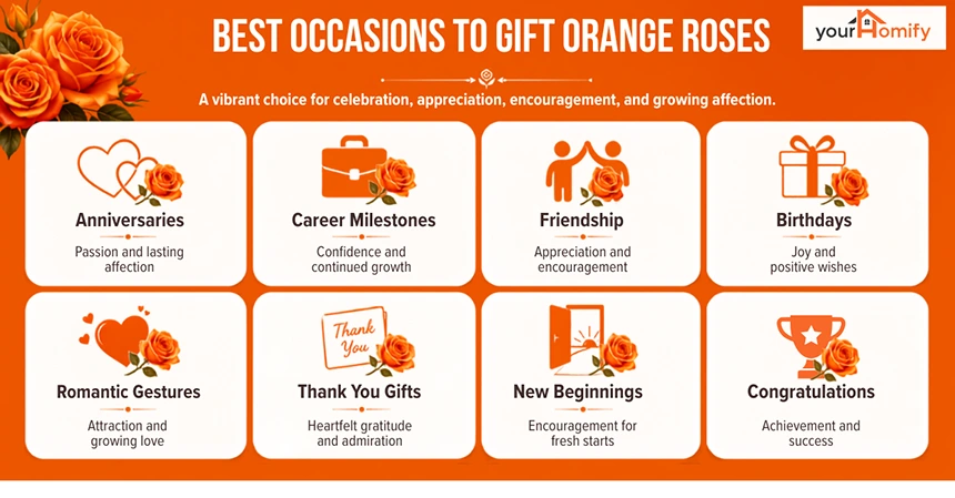 Best Occasions to Gift Orange Roses