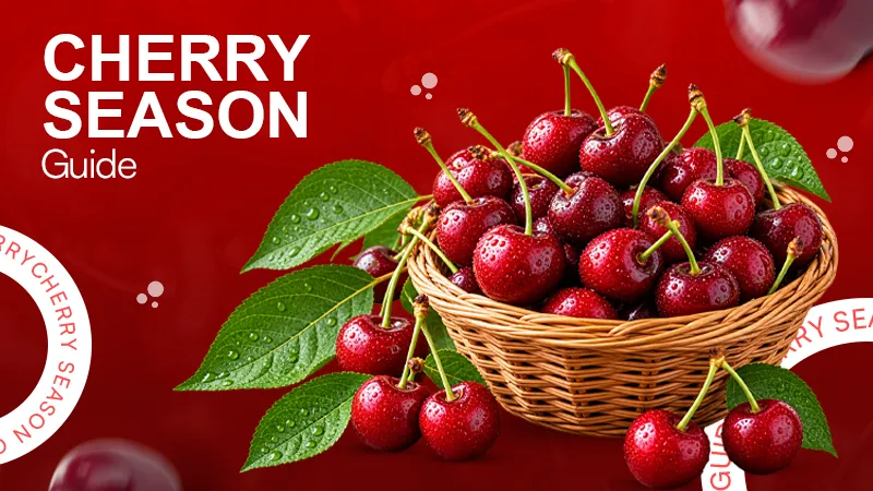 Cherry Season Guide