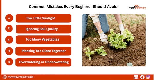 Common Mistakes Every Beginner Should Avoid