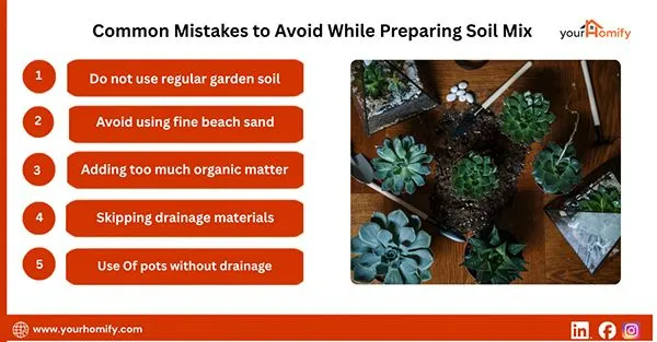 Common Mistakes to Avoid While Preparing Soil Mix