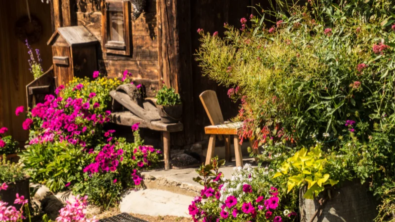 Scenic cottage garden with lush flower borders