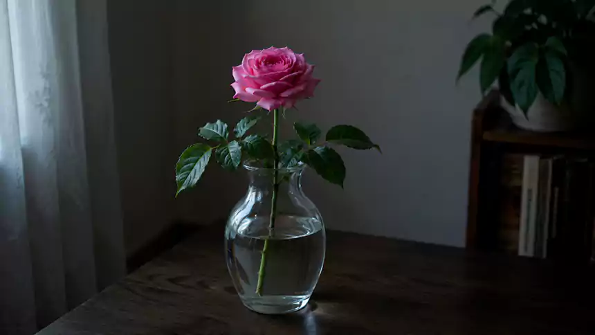 Cut Flower 3