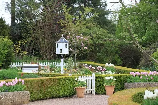 Formal cottage garden