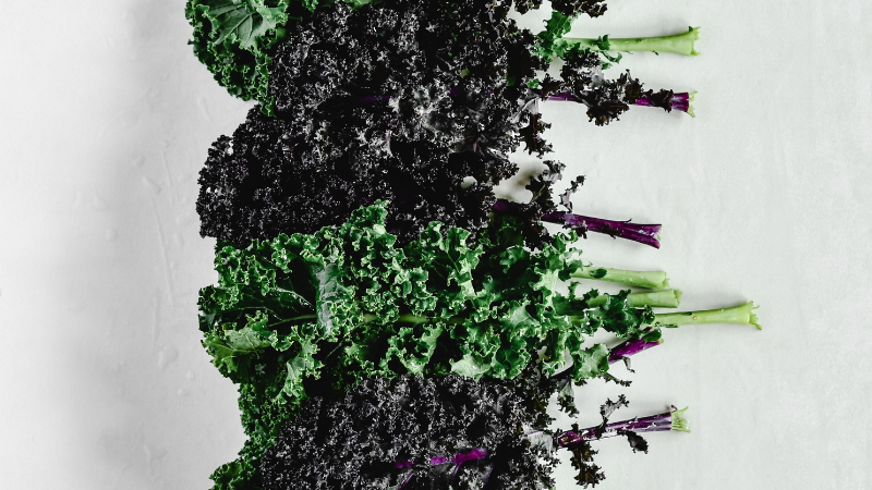 Organic Kale with vibrant green curly leaves