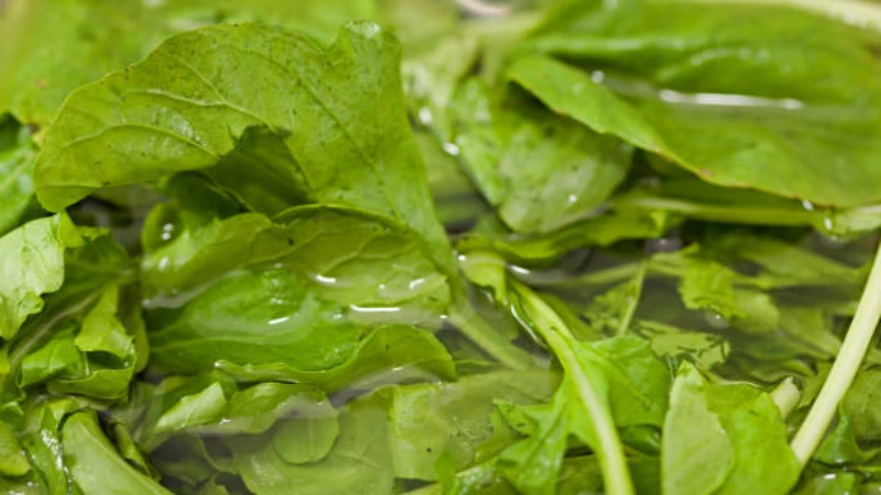 Fresh Watercress with vibrant green leaves