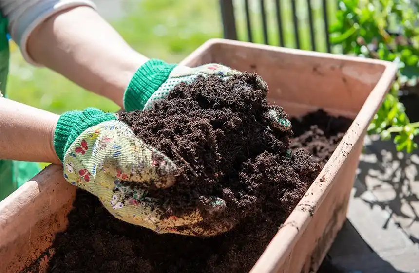 Good Quality Potting Mix