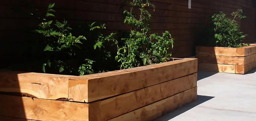 Juniper wood for raised garden beds