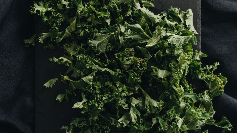 Harvest-ready Kale with healthy green foliage
