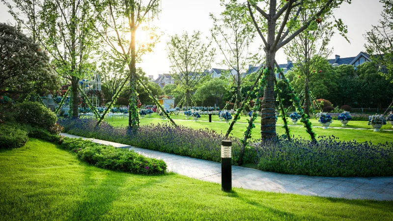 Stunning landscape garden with colorful blooms