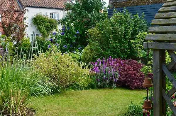 Layered planting for visual depth