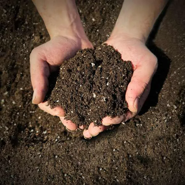 Mix for dry climate