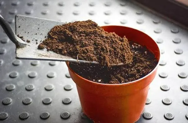 Mix for humid climates