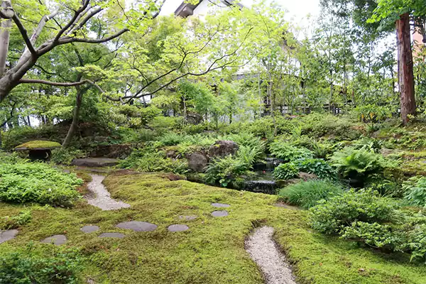 Moss Zen garden