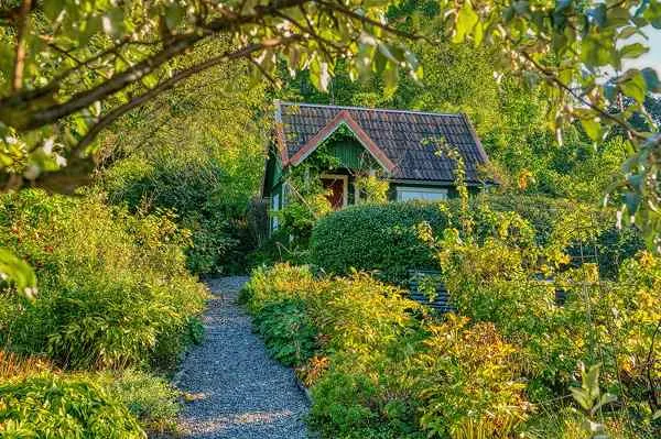 Pathways in a cottage garden