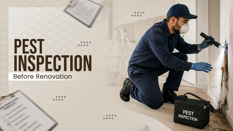 Pest Inspection