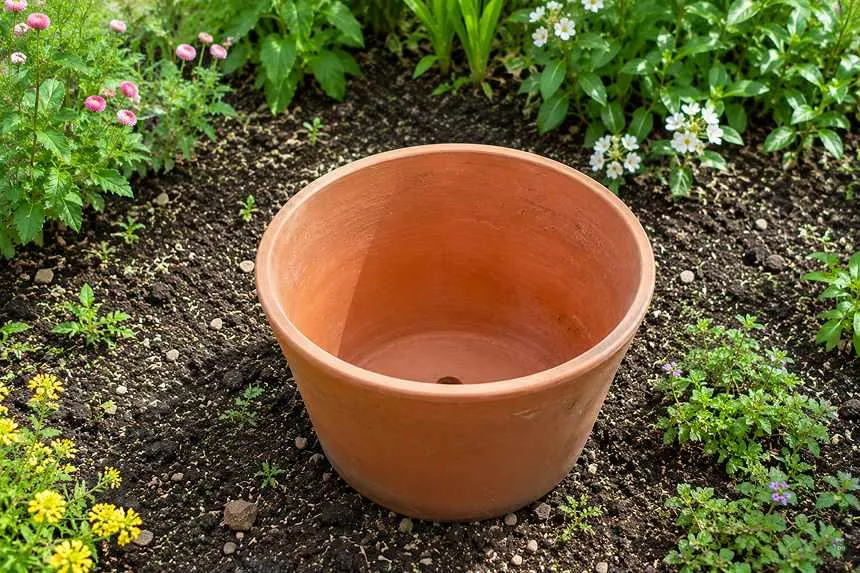 Pot for planting