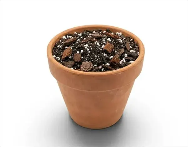 Pot with soil mix  