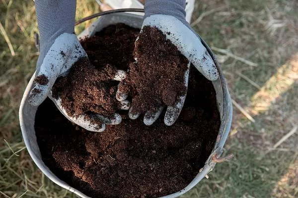 Potting Mix