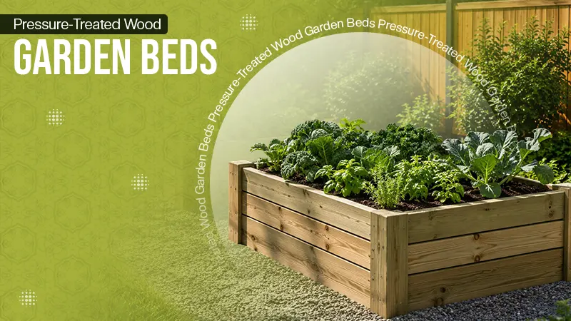 Pressure-Treated Wood Garden Beds