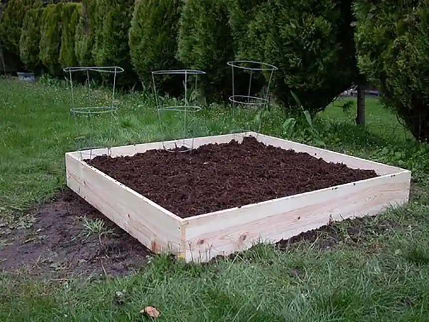 Pressure treated wood raised garden