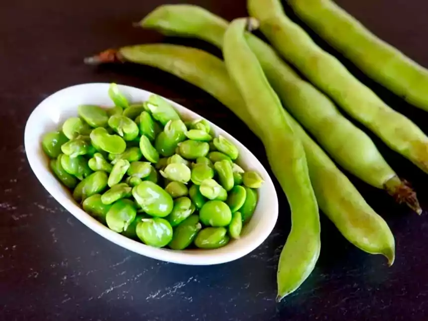 Refrigerated fava beans