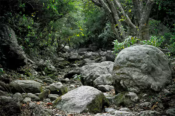 Rocks