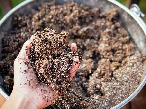 Seed starting soil mix