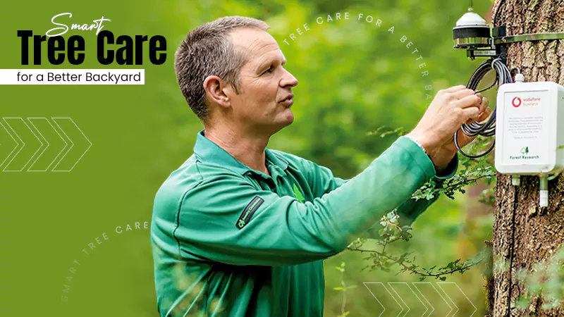 Smart Tree Care for a Better Backyard