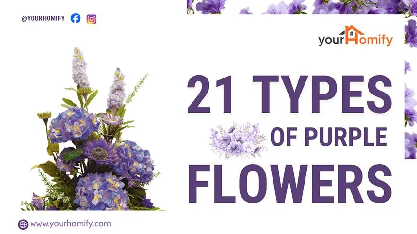 Types of Purple Flowers