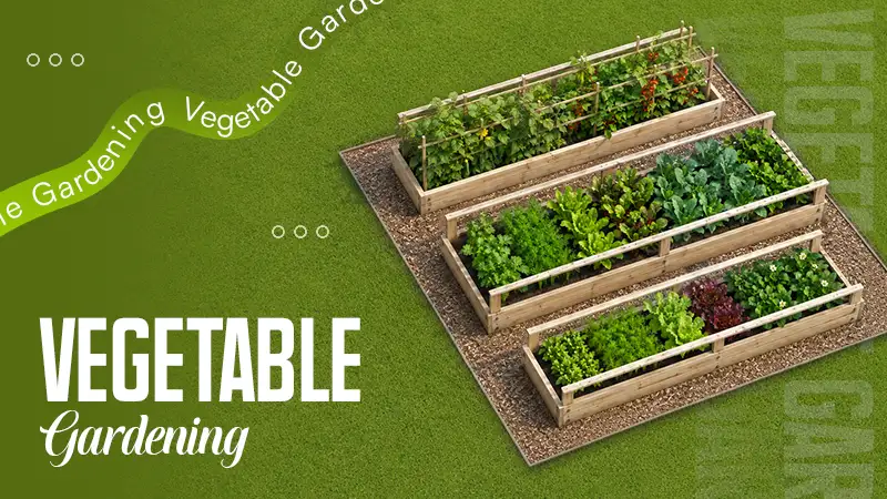 Vegetable Gardening