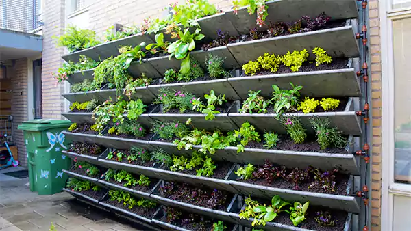 Vertical Vegetable Garden