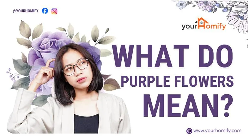 What Do Purple Flowers Mean