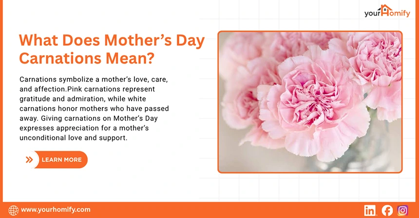 What Does Mother’s Day Carnations Mean
