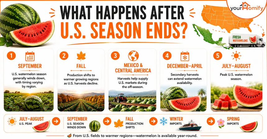 What Happens After US Season Ends
