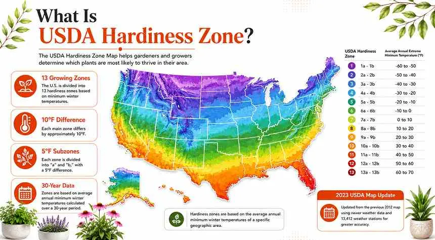 What Is The USDA Hardiness Zone