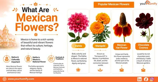 What are Mexican Flowers