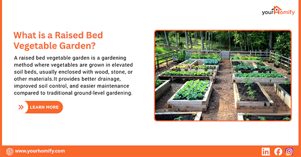 What is a Raised Bed Vegetable Garden