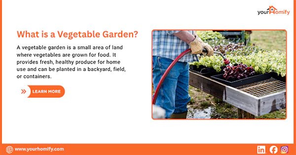 What is a Vegetable Garden