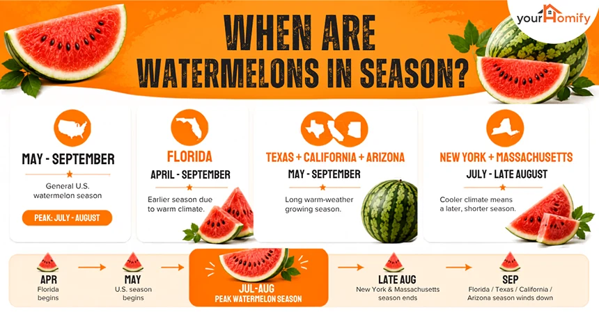 When Are Watermelons In Season