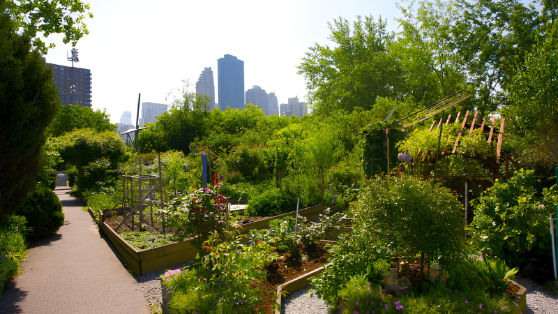 Colorful pathway through an allotment garden with blooming flowers