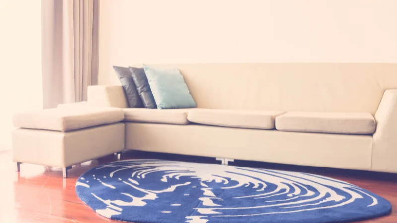 Contemporary Area Rug
