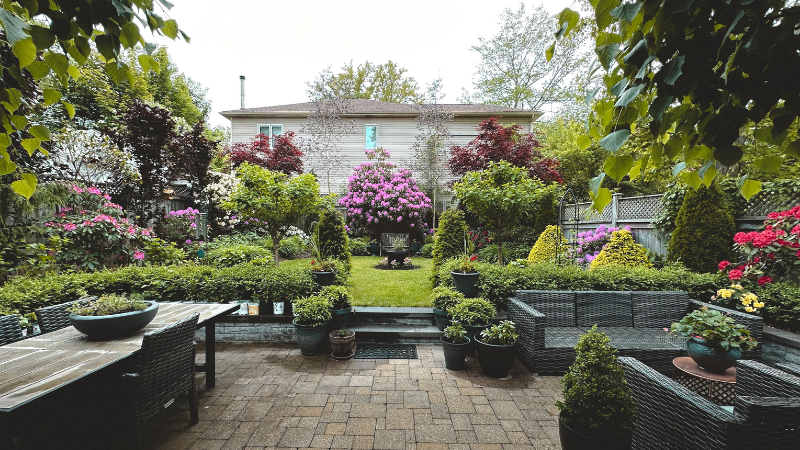 Modern backyard garden with lawn and plants