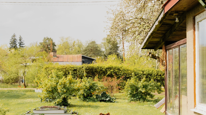 Backyard garden featuring mature shade trees